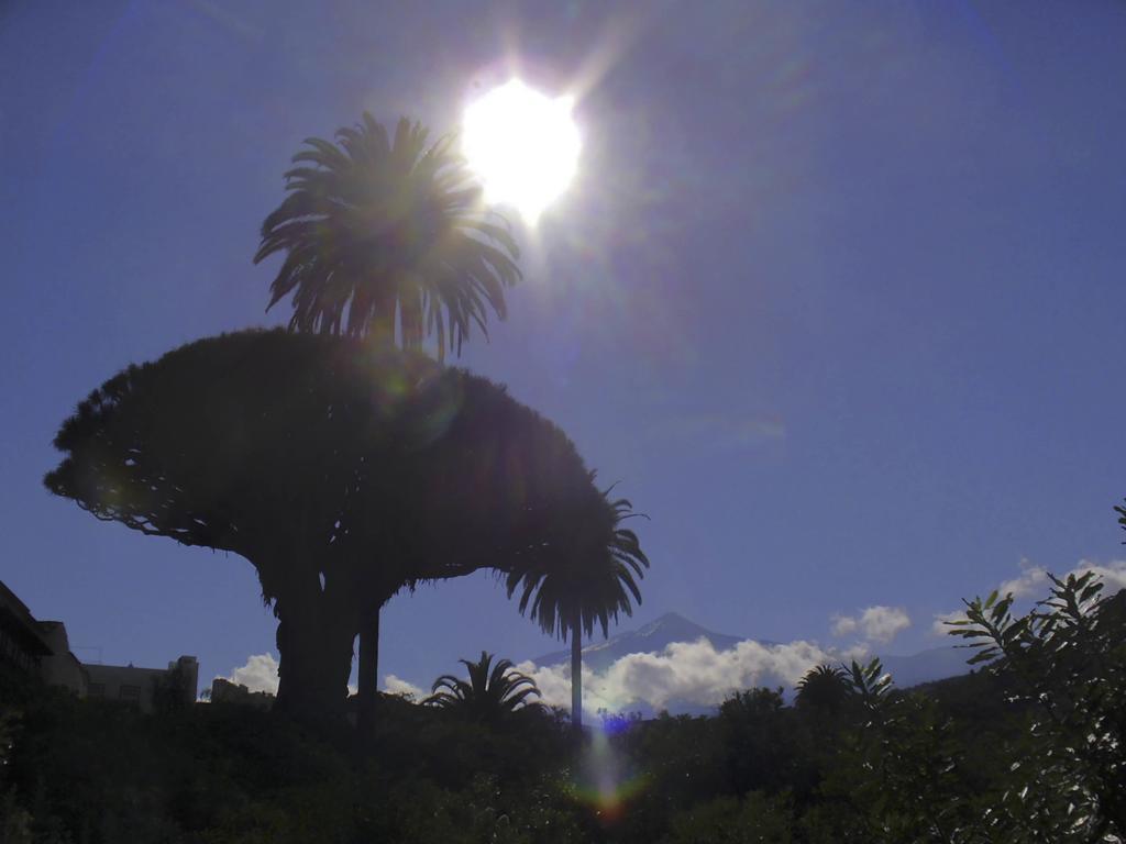 Tenerife North House Apartment Icod De Los Vinos Room photo