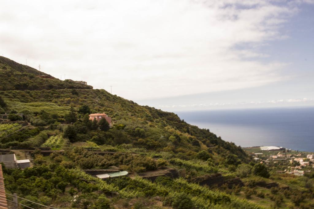 Tenerife North House Apartment Icod De Los Vinos Room photo